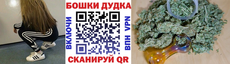 наркотики  Советск  Бошки марихуана индика 